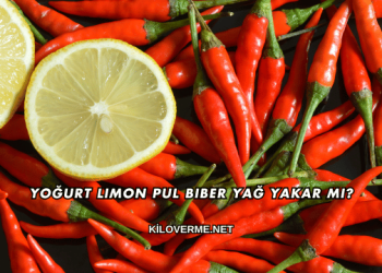 Yoğurt Limon Pul Biber Yağ Yakar mı?
