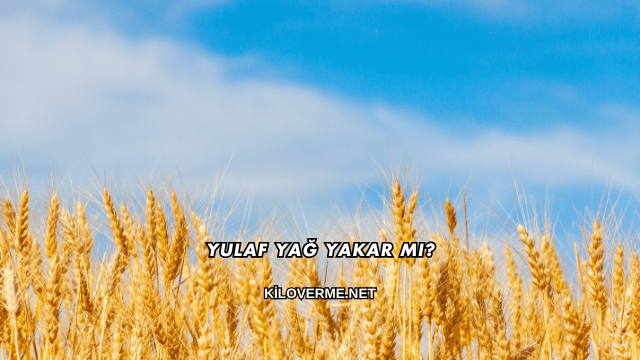 Yulaf Yağ Yakar mı?