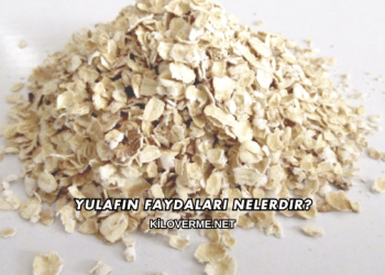Yulafın Faydaları Nelerdir?