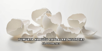 Yumurta Kabuğu Faydaları Nelerdir?