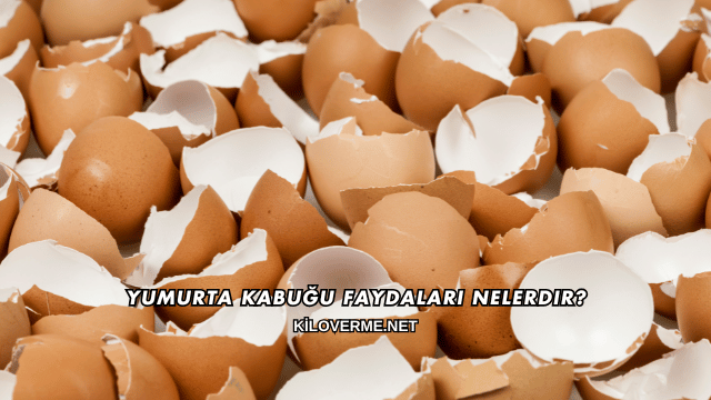 Yumurta Kabuğu Faydaları Nelerdir?