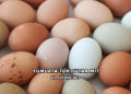 Yumurta Tok Tutar mı?