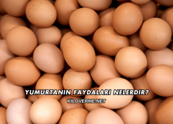 Yumurtanın Faydaları Nelerdir?