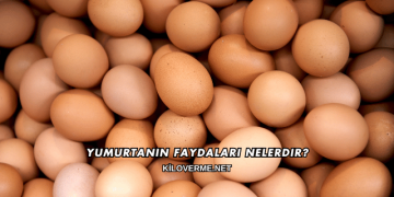 Yumurtanın Faydaları Nelerdir?