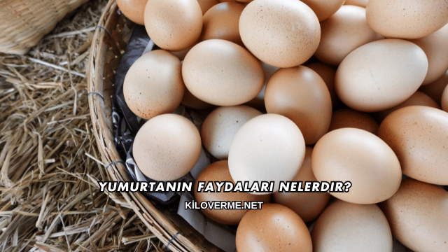 Yumurtanın Faydaları Nelerdir?