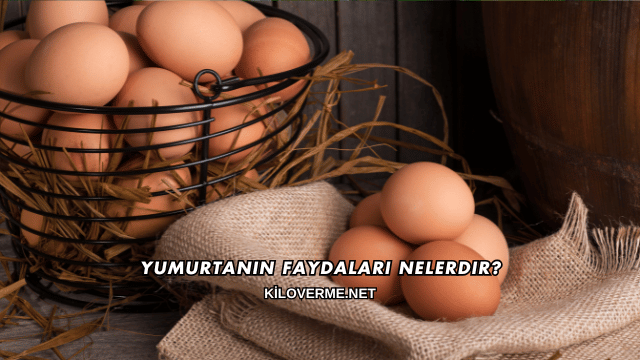Yumurtanın Faydaları Nelerdir?