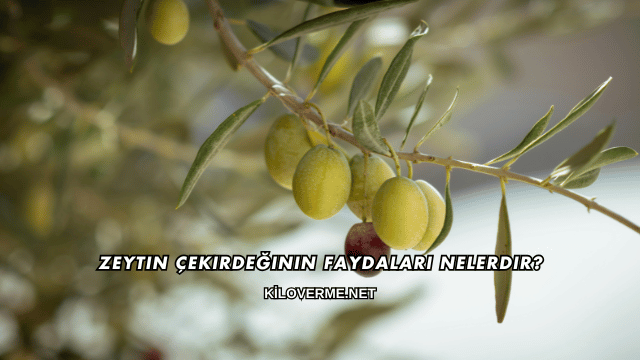 Zeytin Çekirdeğinin Faydaları Nelerdir?