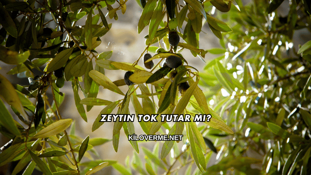 Zeytin Tok Tutar mı?