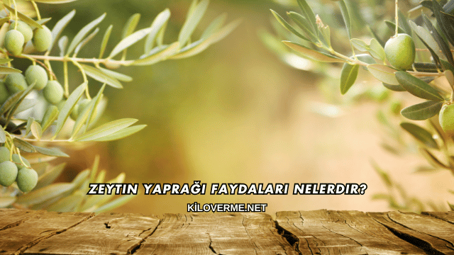 Zeytin Yaprağı Faydaları Nelerdir?