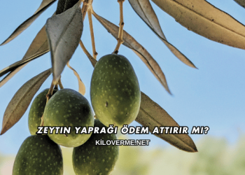 Zeytin Yaprağı Ödem Attırır mı?