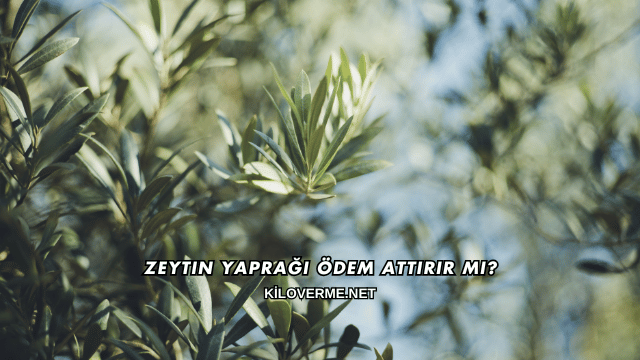 Zeytin Yaprağı Ödem Attırır mı?