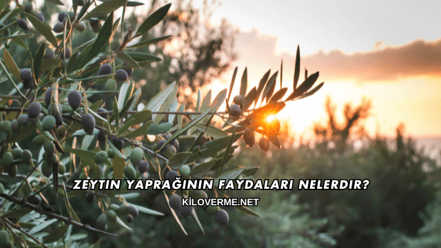 Zeytin Yaprağının Faydaları Nelerdir?