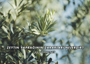 Zeytin Yaprağının Zararları Nelerdir?
