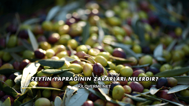 Zeytin Yaprağının Zararları Nelerdir?