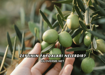 Zeytinin Faydaları Nelerdir?