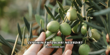 Zeytinin Faydaları Nelerdir?