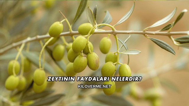 Zeytinin Faydaları Nelerdir?