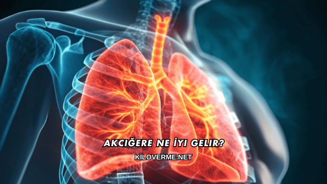 Akciğere Ne İyi Gelir?