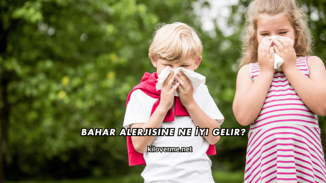 Bahar Alerjisine Ne İyi Gelir?