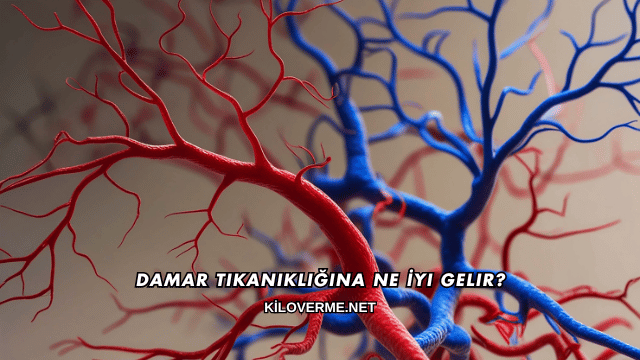 Damar Tıkanıklığına Ne İyi Gelir?