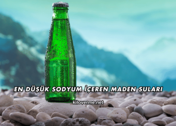 En Düşük Sodyum İçeren Maden Suları
