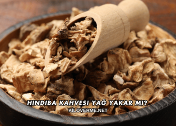 Hindiba Kahvesi Yağ Yakar mı?