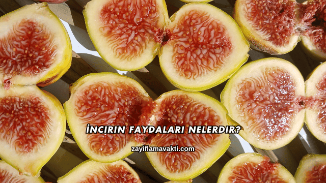 İncirin Faydaları Nelerdir?