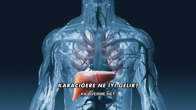 Karaciğere Ne İyi Gelir?