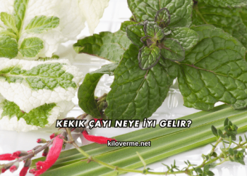 Kekik Çayı Neye İyi Gelir?