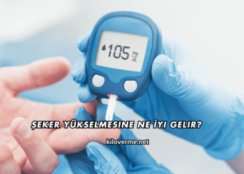 Şeker Yükselmesine Ne İyi Gelir?