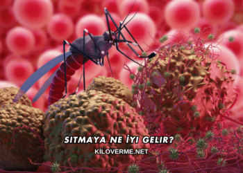 Sıtmaya Ne İyi Gelir?