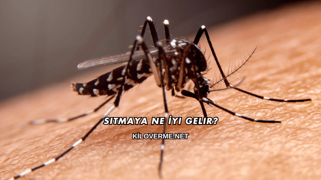 Sıtmaya Ne İyi Gelir?