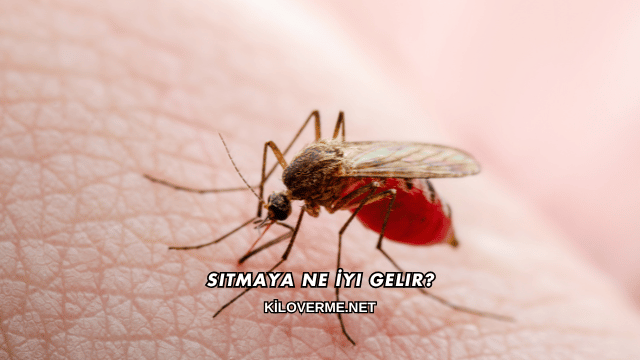 Sıtmaya Ne İyi Gelir?