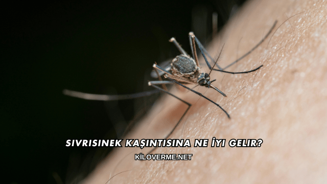 Sivrisinek Kaşıntısına Ne İyi Gelir?