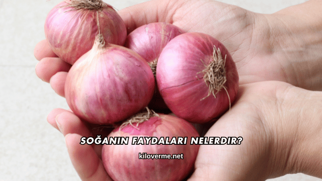 Soğanın Faydaları Nelerdir?