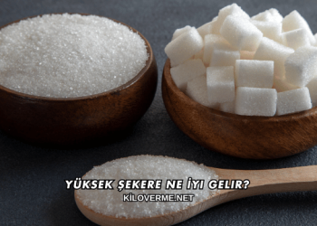 Yüksek Şekere Ne İyi Gelir?
