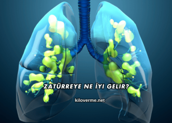 Zatürreye Ne İyi Gelir?