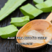Aloe Vera Neye İyi Gelir?