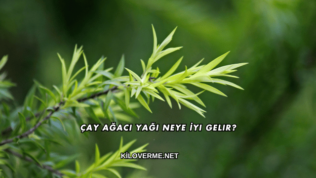 Çay Ağacı Yağı Neye İyi Gelir?