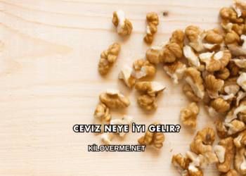 Ceviz Neye İyi Gelir?