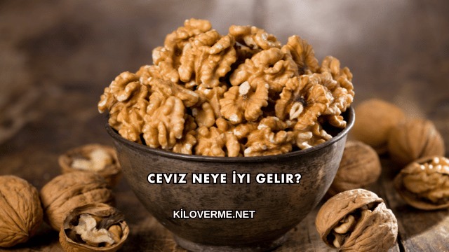 Ceviz Neye İyi Gelir?