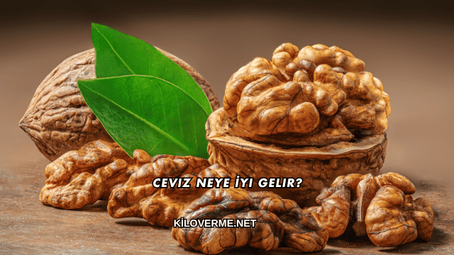 Ceviz Neye İyi Gelir?