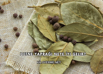 Defne Yaprağı Neye İyi Gelir?