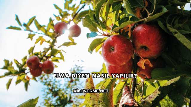 Elma Diyeti Nasıl Yapılır?