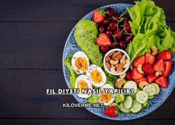 Fil Diyeti Nasıl Yapılır?
