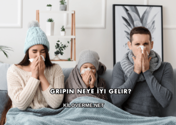 Gripin Neye İyi Gelir?