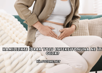 Hamilelikte İdrar Yolu Enfeksiyonuna Ne İyi Gelir?