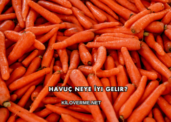 Havuç Neye İyi Gelir?