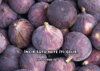 İncir Sütü Neye İyi Gelir?