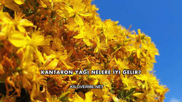 Kantaron Yağı Nelere İyi Gelir?